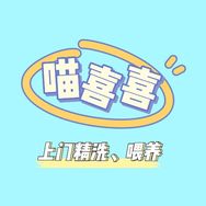 老雷爱洗猫（喵喜喜）