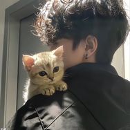 小宇大测评