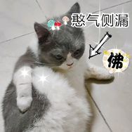 粵探粵有房Karvan