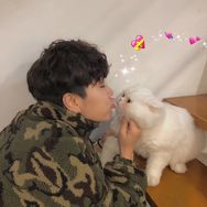 球球是只猫