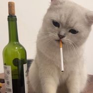 网恋总被男人骗