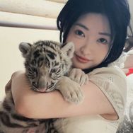宫百万