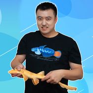 海王弗兰克