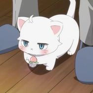 软柿子