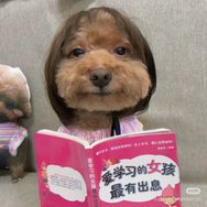 抖音舞蹈排行榜第13名六六酱,新榜指数865.9000,新增作品数2,分享数7.13w,评论数2481,点赞数31.89w,新增粉丝数1.01w,累计粉丝数168.5w