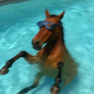 时代少年团-马嘉祺