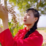 陕西静静🚥眼中钉