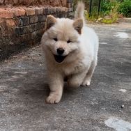 土松之家