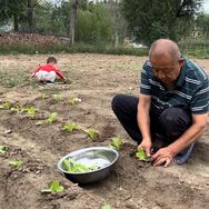 豆腐老胡