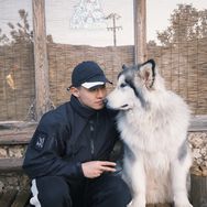 细狗任任（减脂去油版