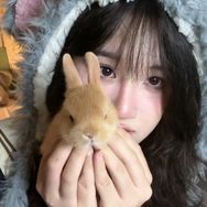 牛奶牛奶