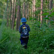 阿正的绿色星球