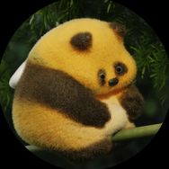 陈醉醉