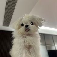 凡汐日常