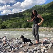 荷尔蒙迷你宾莎犬舍