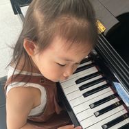 海龟日记