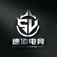 高司令（速凌电竞）