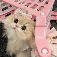 缝上也不给你