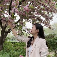 柿柿如意