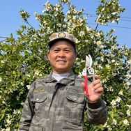 老刘种树修剪