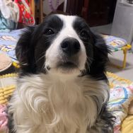 月月和小花日常生活