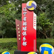 为辽宁女排点赞