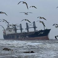 花海退潮了（威海约拍）