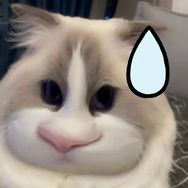 猪猪小野