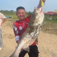 阿鼎钓鱼