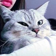 Q大壮·