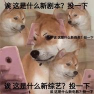 金锡佑子茶（学译版）