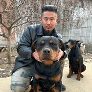 老贾鼓捣狗