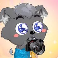 爱摄影的小灰灰