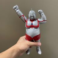 优雅大能猫