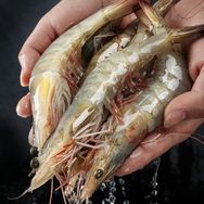 大虾全国配送仓