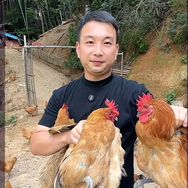 阿俊竹林土鸡