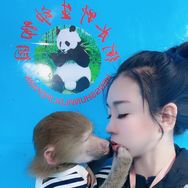 人猴情未了