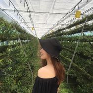 小丸子【女飞手】