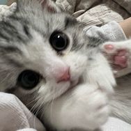 坦克一斤半🐱