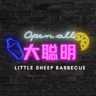 大聪明不说电影