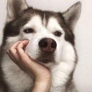 傅永琪