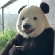 屁桃梅🍑 （自由教练版）健身➕骑行