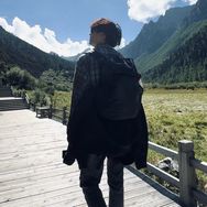 炸炸炸🐑
