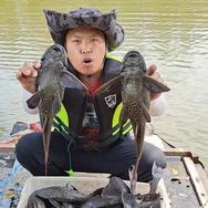 清道夫道路标线