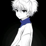 一只鸽子