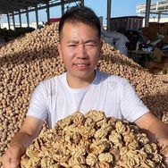 新疆云哥的纸皮核桃