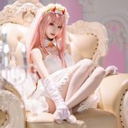 曲奇琦（坚持日更）