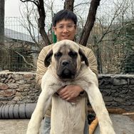 骏良