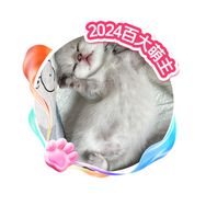 终南山喵
