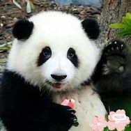 魔都小坏坏